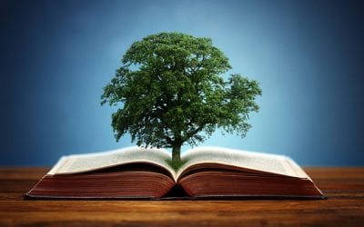 Family Law and Divorce Tips