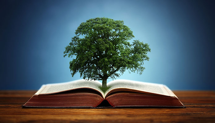 family-law-lawyers-and-divorce-attorneys-in-jackson-mi