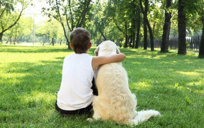 Divorce: When Your Child Wants to Live With Your Ex