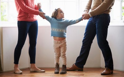How to Make Joint Custody Work | MI Divorce and Family Law